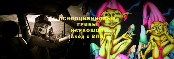 гидропоника Магас