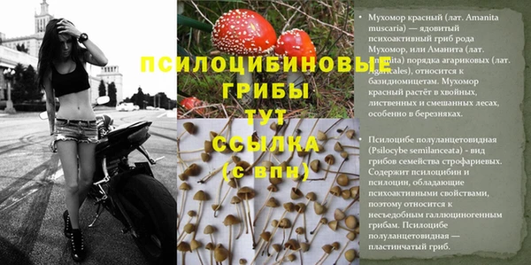 первитин Майский